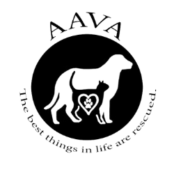 AAVA Logo